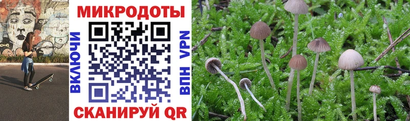 MEGA рабочий сайт  Высоковск  Галлюциногенные грибы GOLDEN TEACHER 
